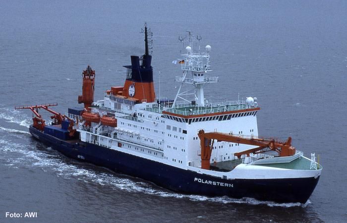 DDT in Pinguinen belegt - schmelzende Gletscher setzen Chemikalien frei