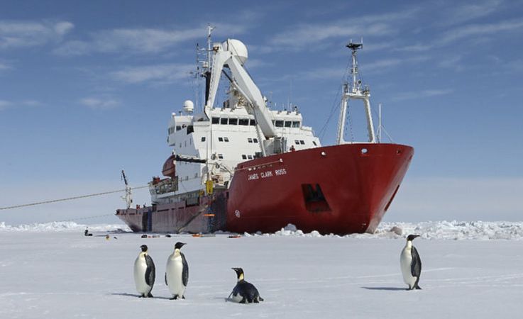 Kaiserpinguine auf dem Meereis vor dem Eisbrecher RRS James Clark Ross. Dickes Meereis macht das